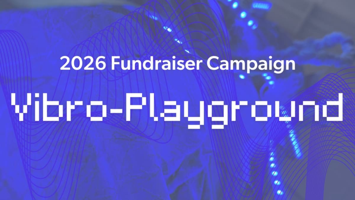 Vibro-Playground Fundraiser Party