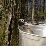 February Sugar Shack Experience - second seating