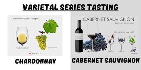 Color De Vino Varietal Series Tasting