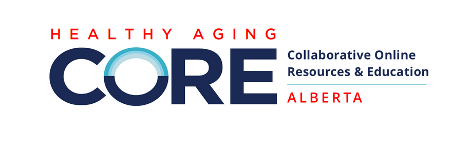 From Vision to Action: Harnessing the Healthy Aging Framework for Strategic Planning