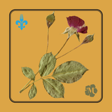 Friday Local Love Valentine's Day