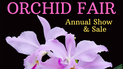 Orchid Fair Annual Show & Sale