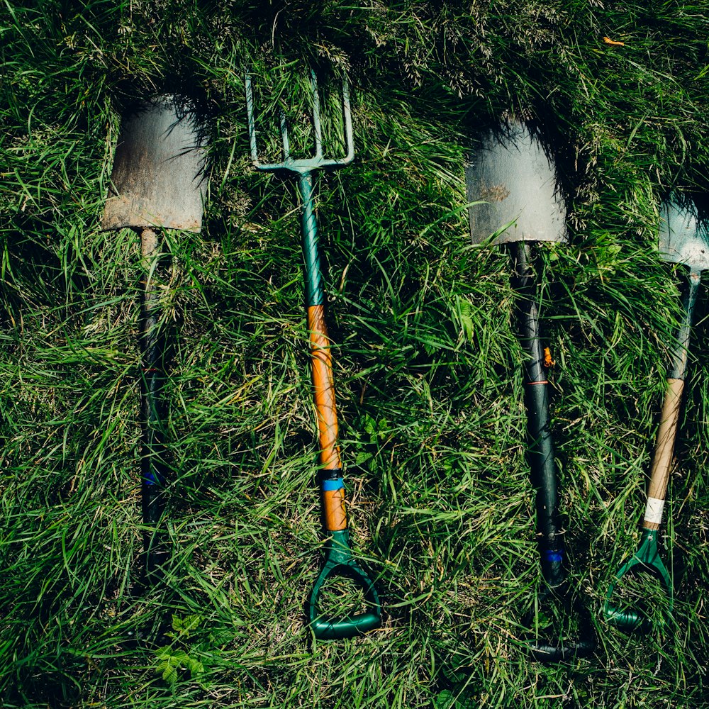 Garden Tool Maintenance Workshop