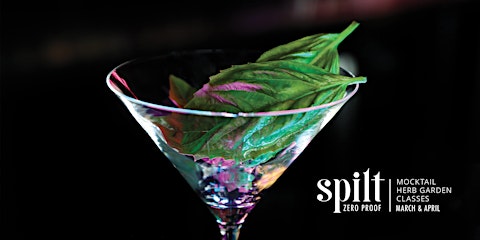 Spilt Spring Series - Fresh Herbs