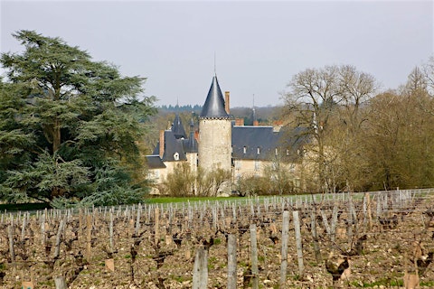 A Taste of Loire with Maxime Bourret