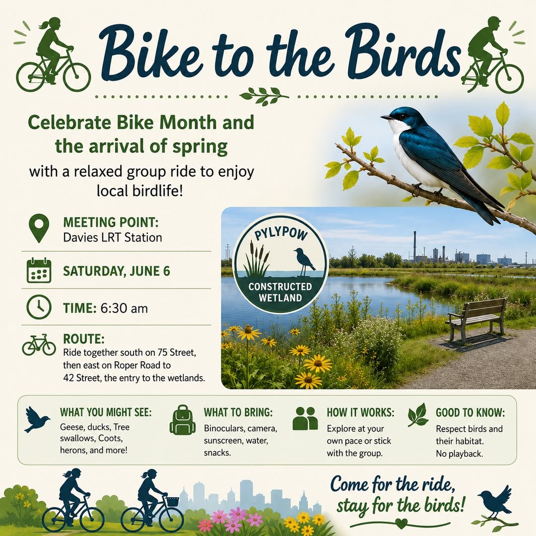 Bike to the Birds