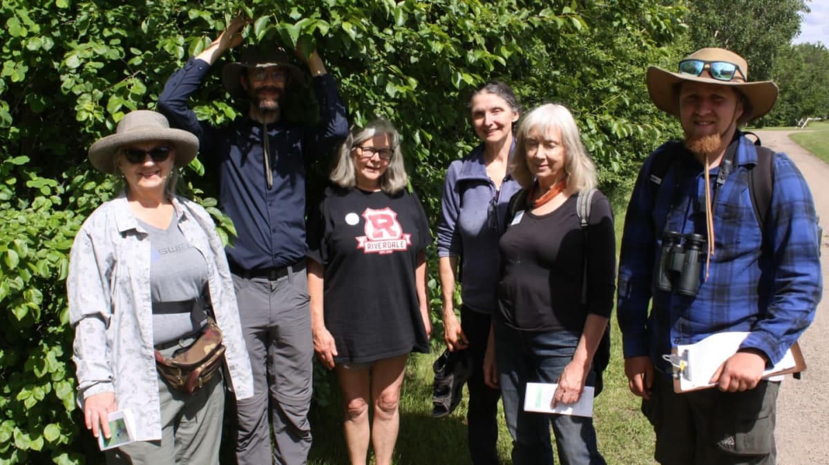 New Jubilee Forest Tours