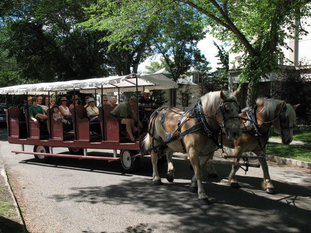 Historic Tour of Olde Towne Beverly via Horse Drawn Carriage