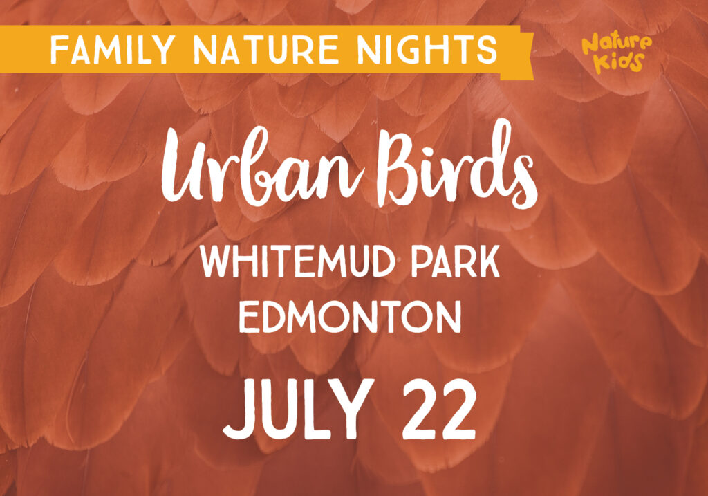 Family Nature Nights: Urban Birds