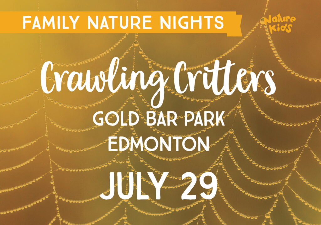 Family Nature Nights: Crawling Critters