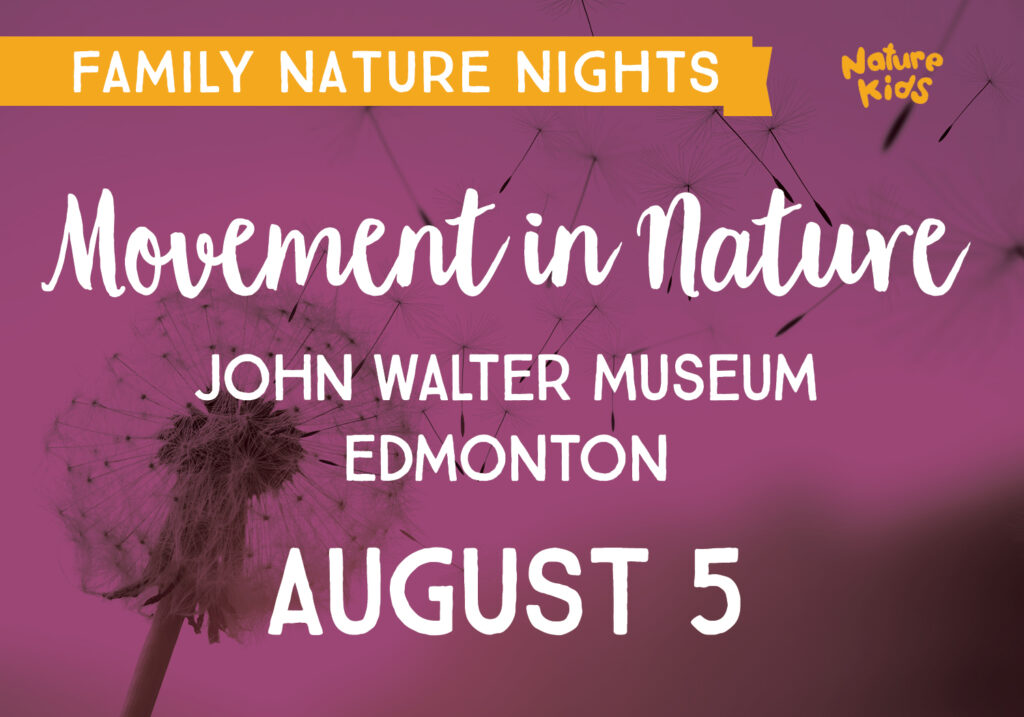 Family Nature Nights: Movement in Nature