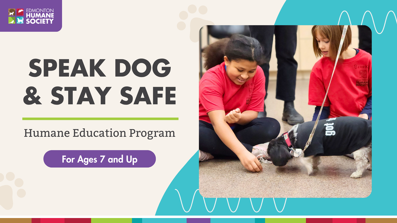Summer Reading Fest - Speak Dog & Stay Safe