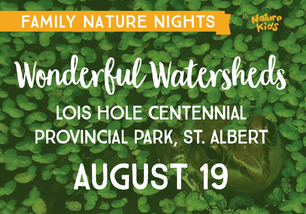 Family Nature Nights: Wonderful Watersheds