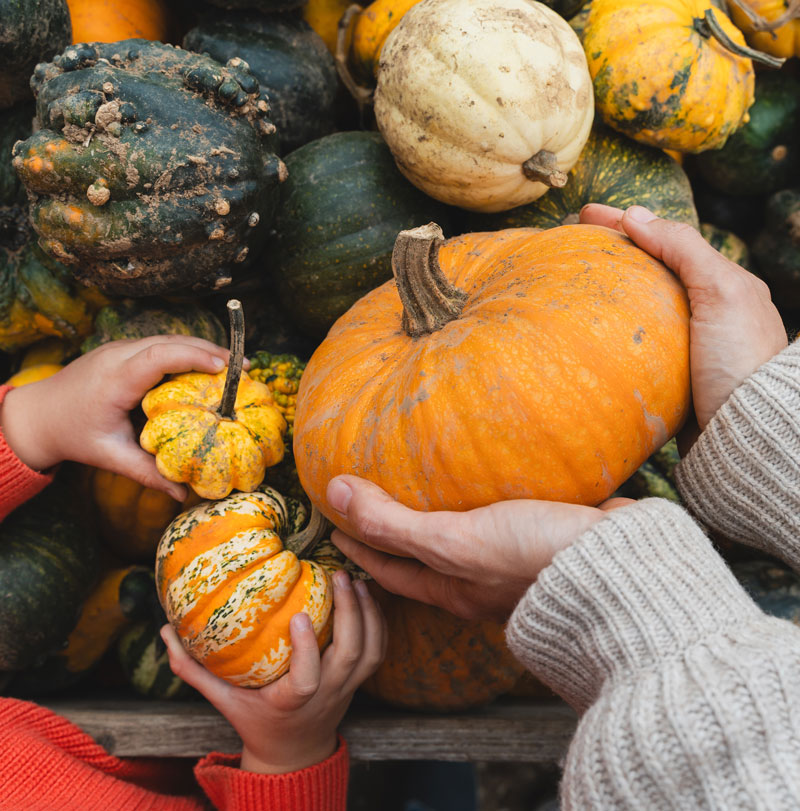 Grandparents’ Day Harvest Festival