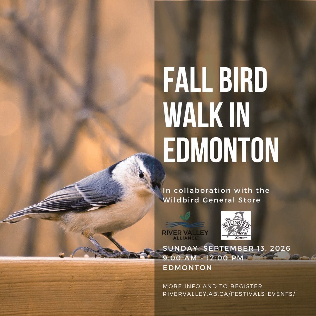Autumn Bird Walk