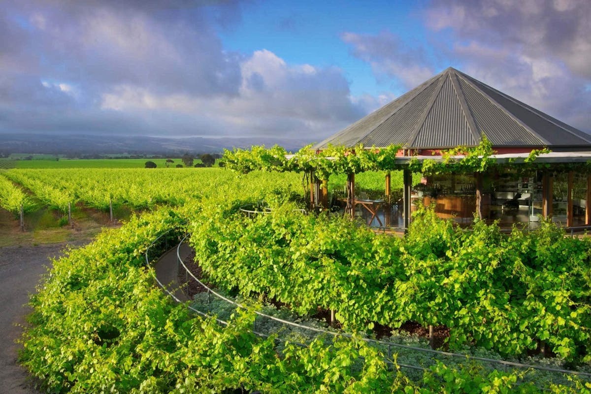 Hugh Hamilton Wine Dinner