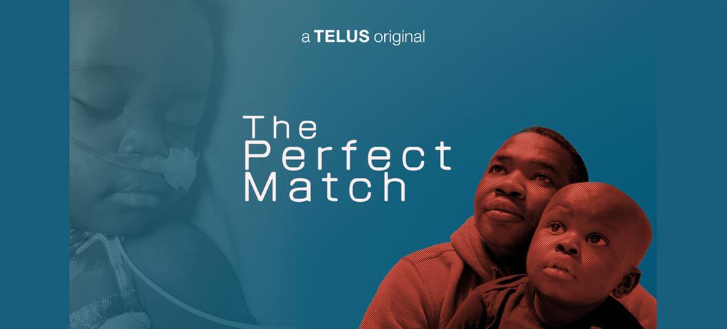 The Perfect Match — screening and reception