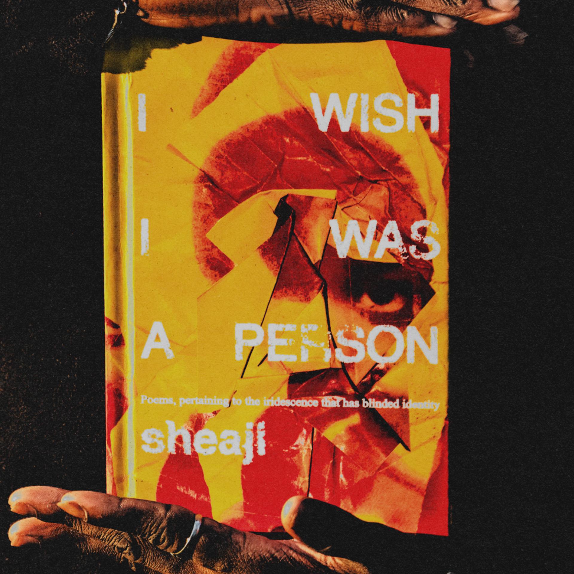 "I Wish I Was A Person" Release Party