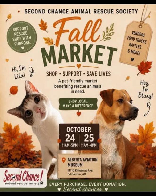 SCARS Fall Market