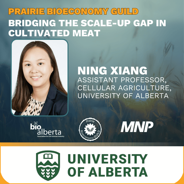 Bioeconomy Guild Night - Bridging the Scale-Up Gap in Cultivated Meat