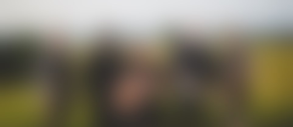 Mystery Artist - Christmas Edition