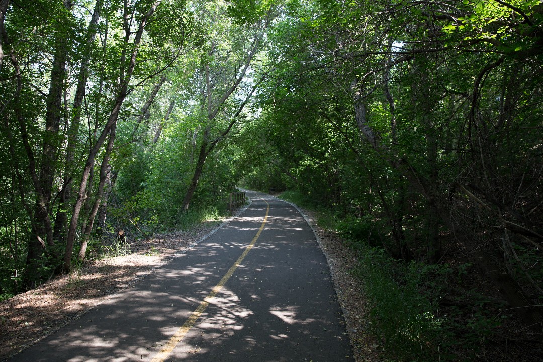 A tree-lined trail in Edmonton's river valley
