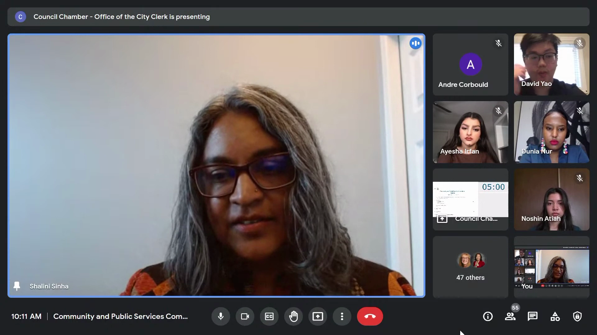A screenshot of an online meeting of city council's community and public services committee, with Shalini Sinha in the main window and an array of other attendees on the side