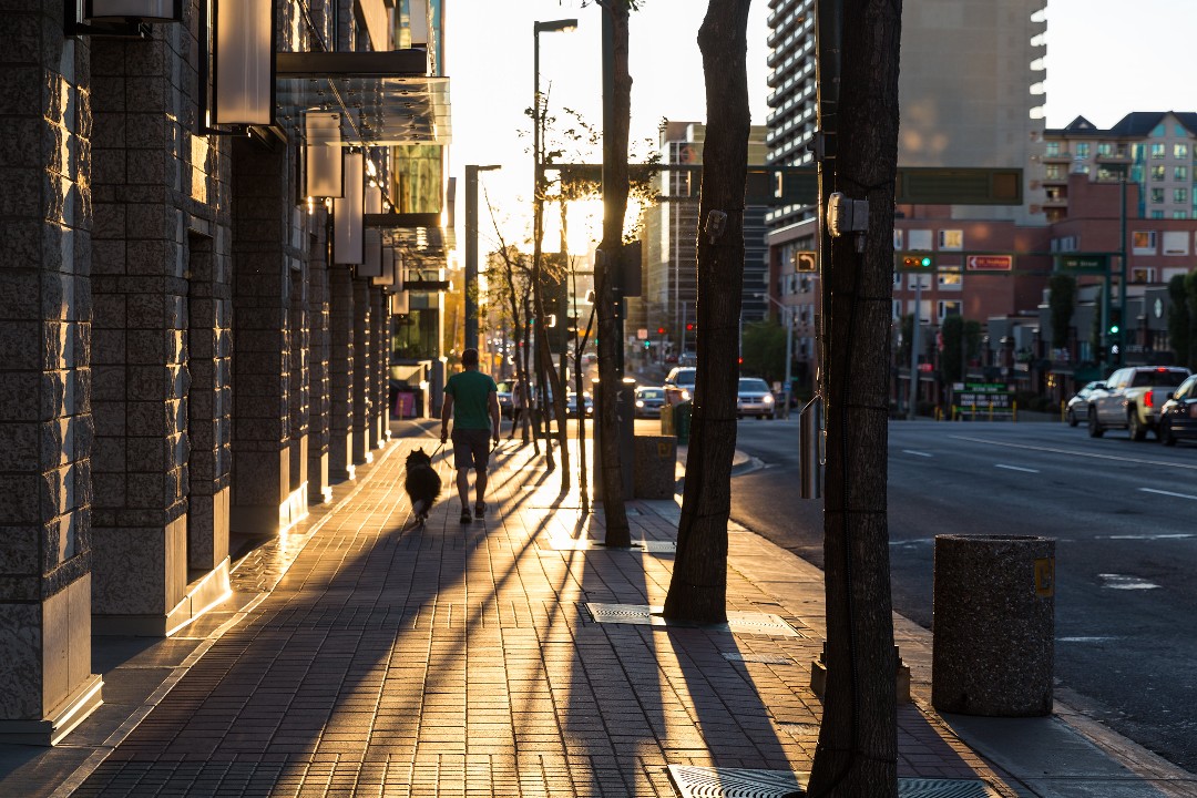 A person walks a dog along an otherwise empty downtown city sidewalk as the sun is low in the sky