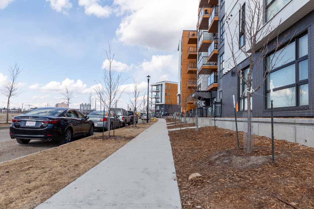 New multi-family buildings line a sidewalk on a spring day, with leafless trees along the boulevard