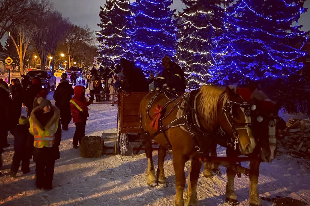 People wait to board a sleigh pulled by two horses, with seasonal lights in the background