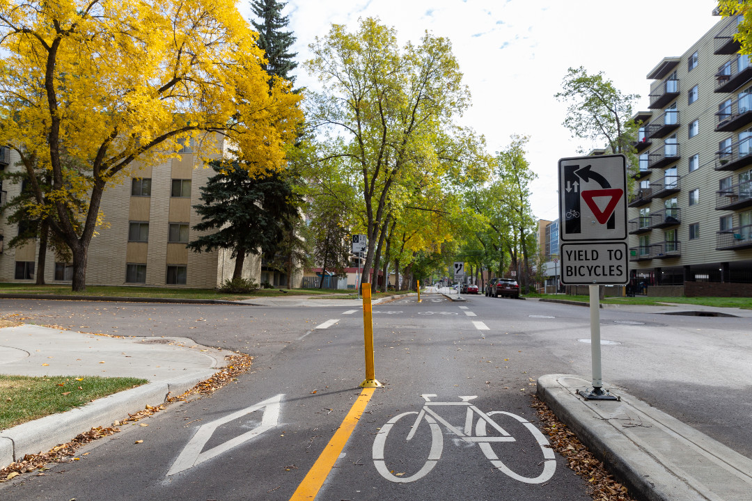 View from the middle of a quiet Edmonton bike lane, with the street lined with mid-sized apartments and trees entering fall colours