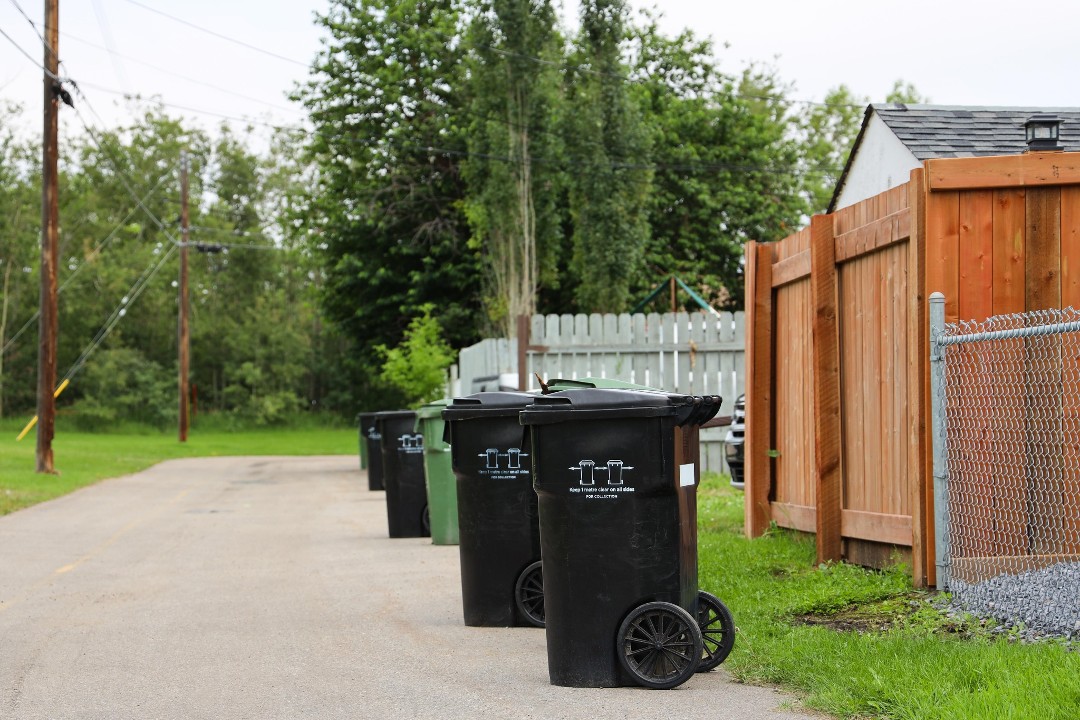 A photo of black and green compost bins.