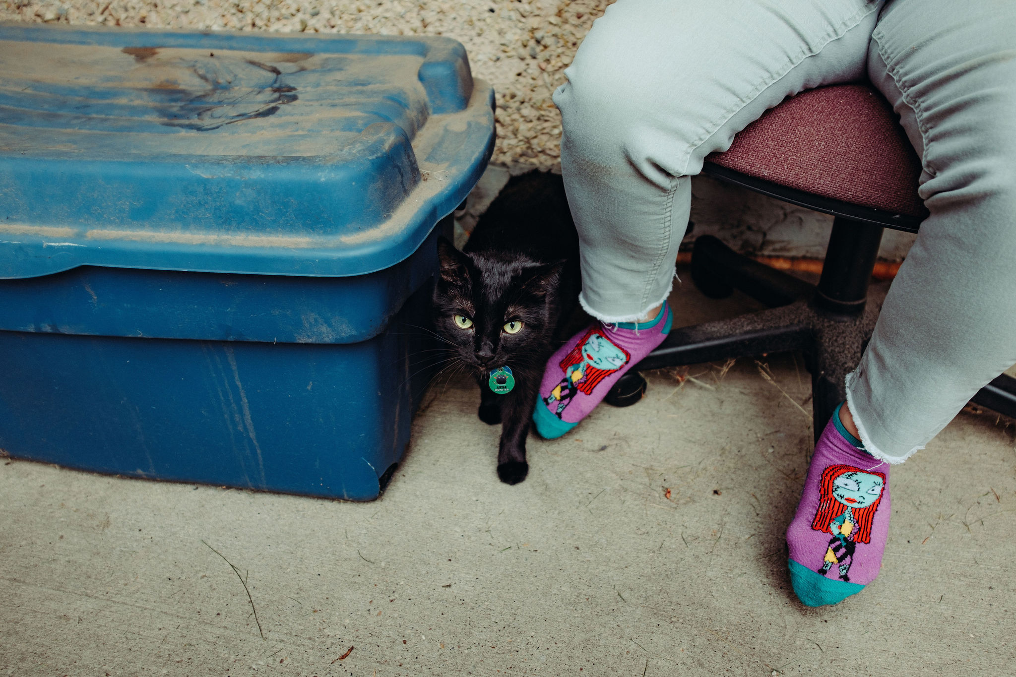 A cat between a storage tote and a chair.