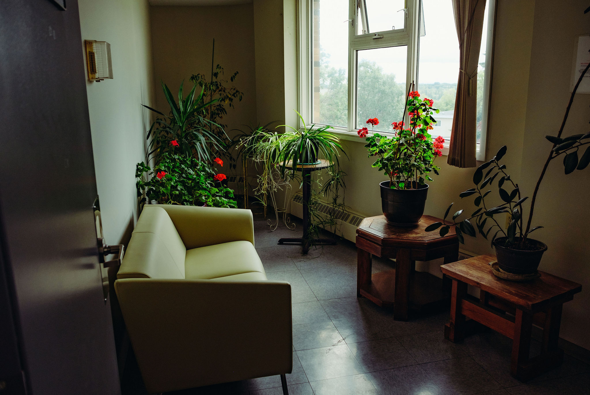 A couch facing a window and surrounded by plants.