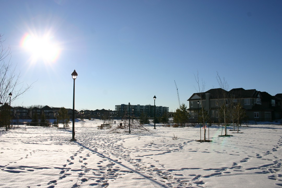 A photograph of housing near a field that's covered in snow.