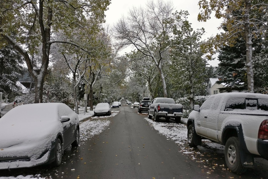 Edmonton nearly halfway to tree goal, with slight extension