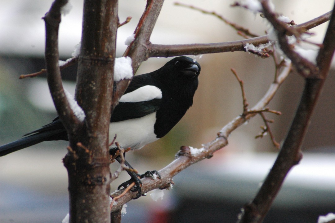 Happenings: March 9, 2026