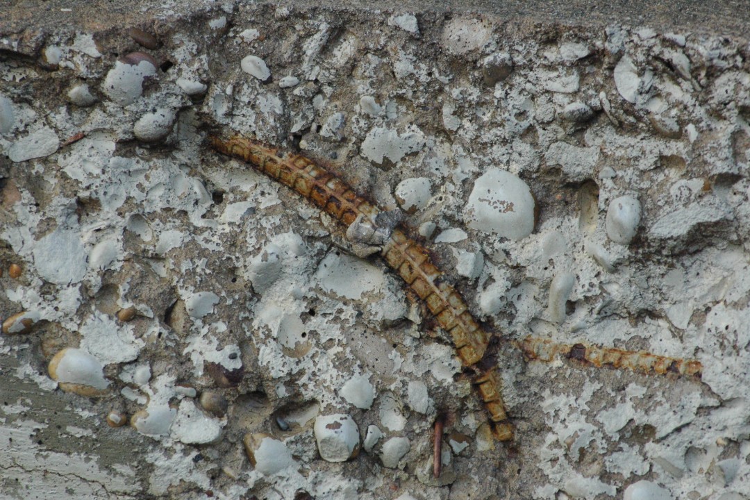 Happenings: March 10, 2026