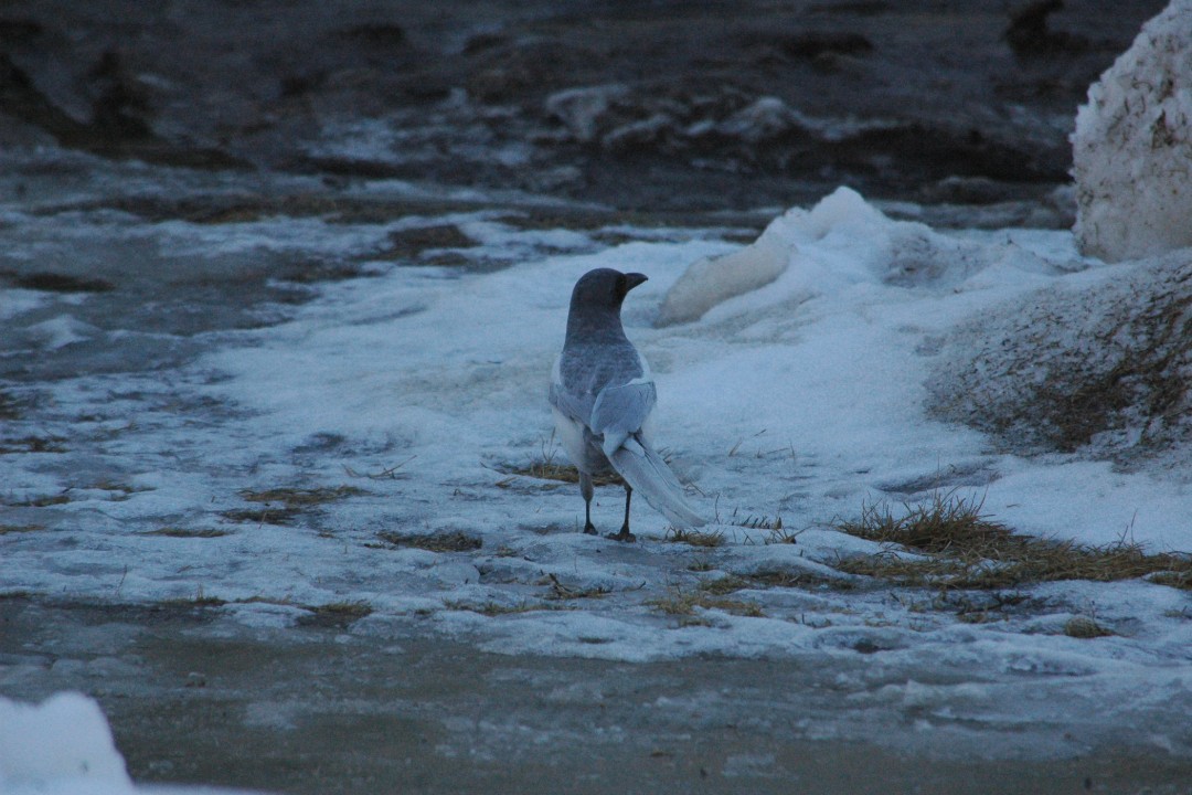 Happenings: March 17, 2026