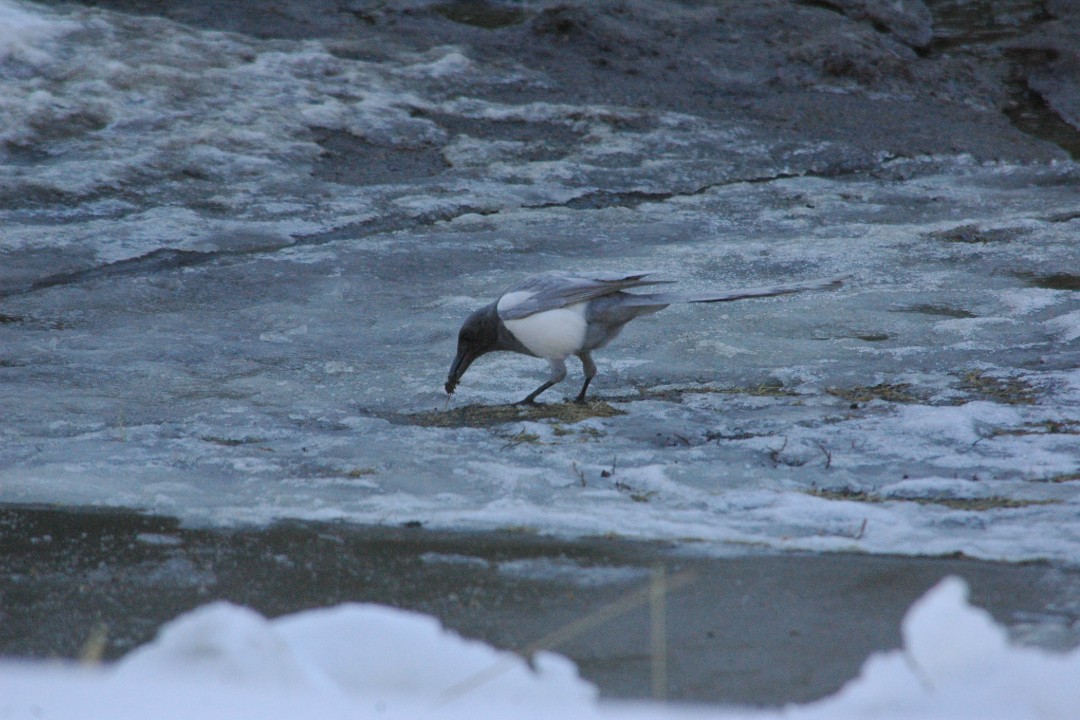 Happenings: March 18, 2026