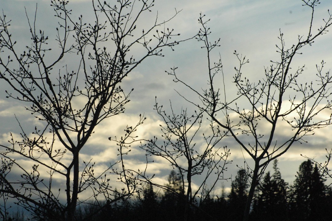 Happenings: March 25, 2026