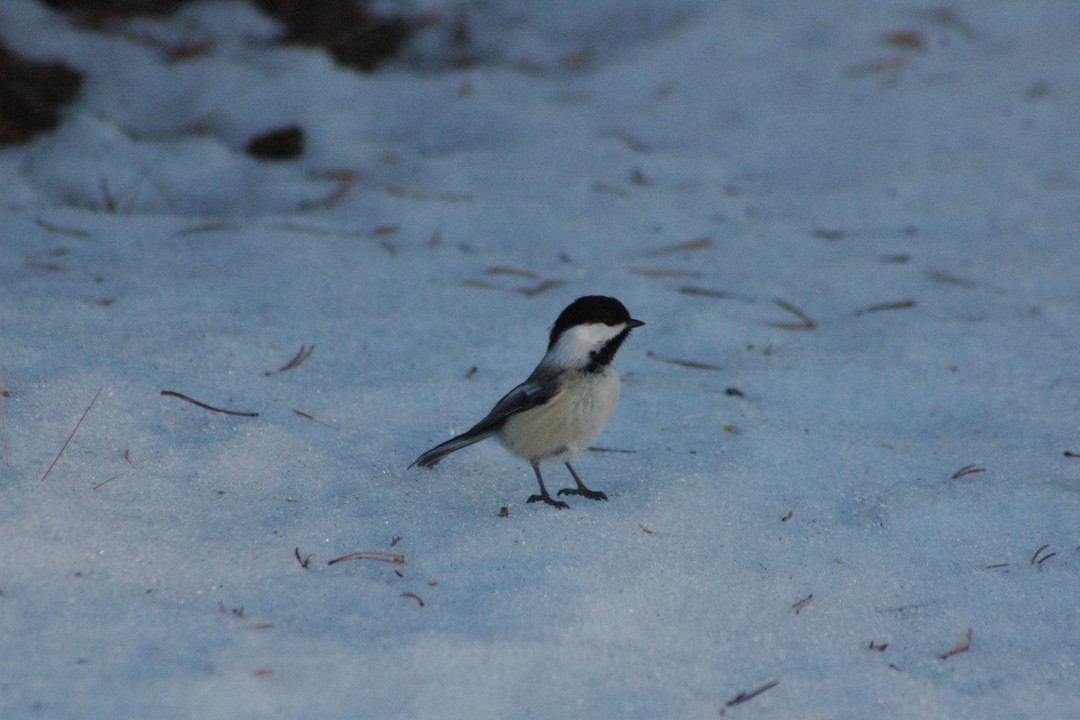 Happenings: March 26, 2026