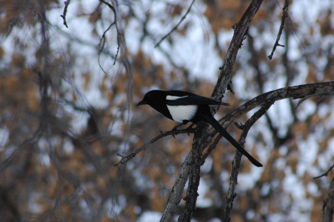 Happenings: March 30, 2026