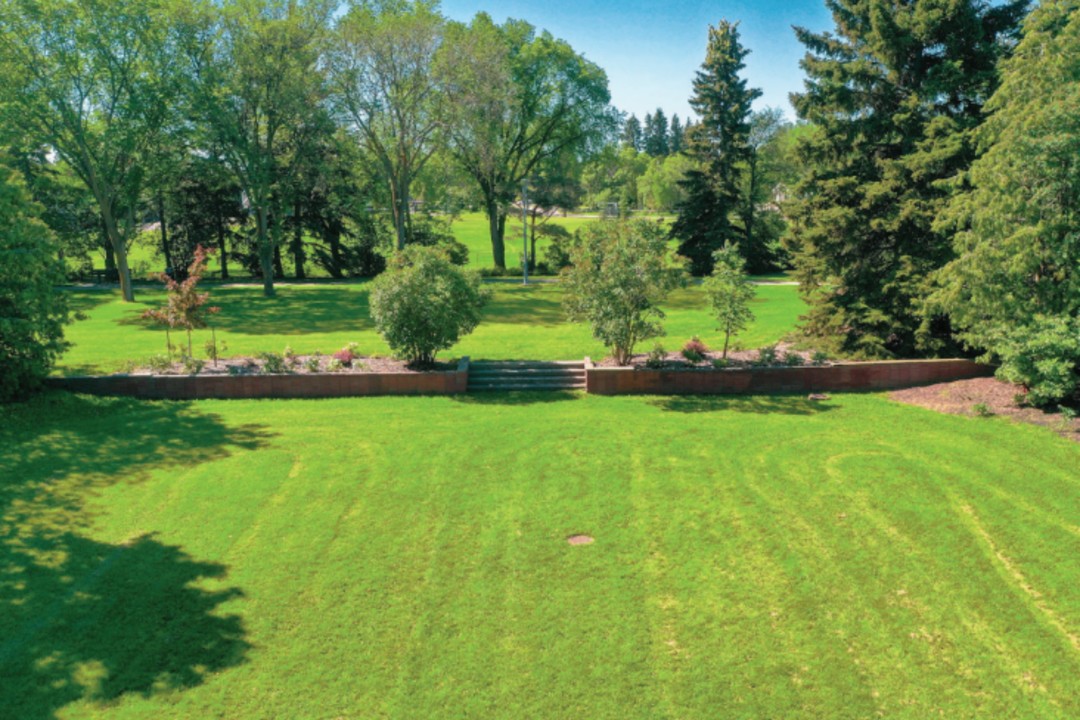 A green, tree-lined lawn bisected by a short retaining wall