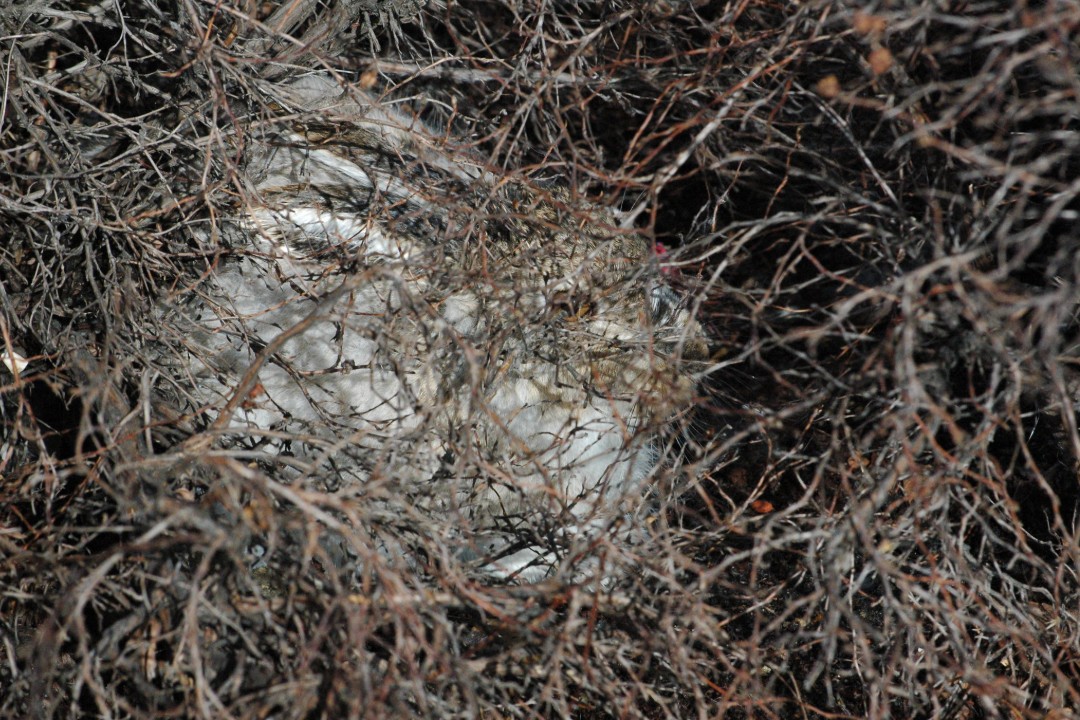 Happenings: April 8, 2026