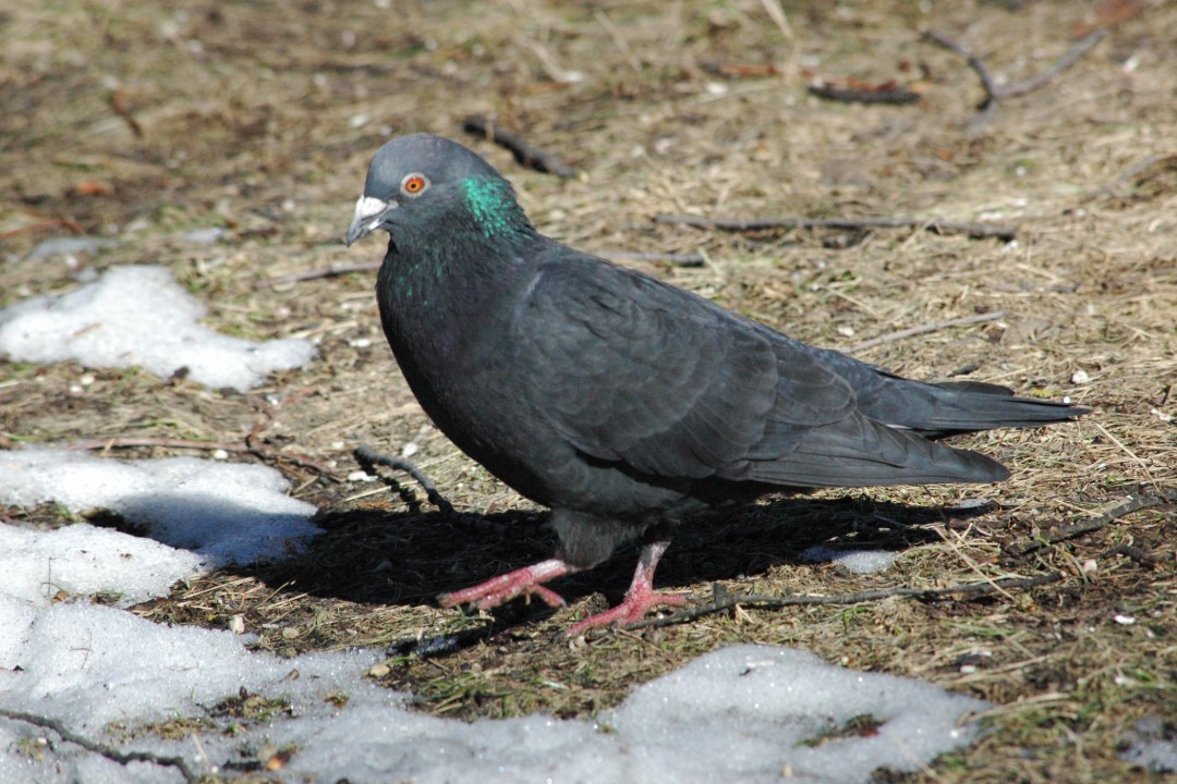 Happenings: April 10-12, 2026