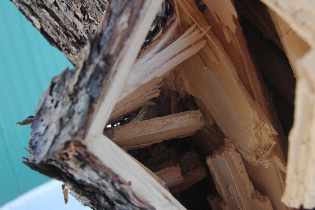 Happenings: April 13, 2026