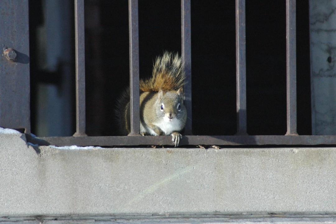 Happenings: April 14, 2026