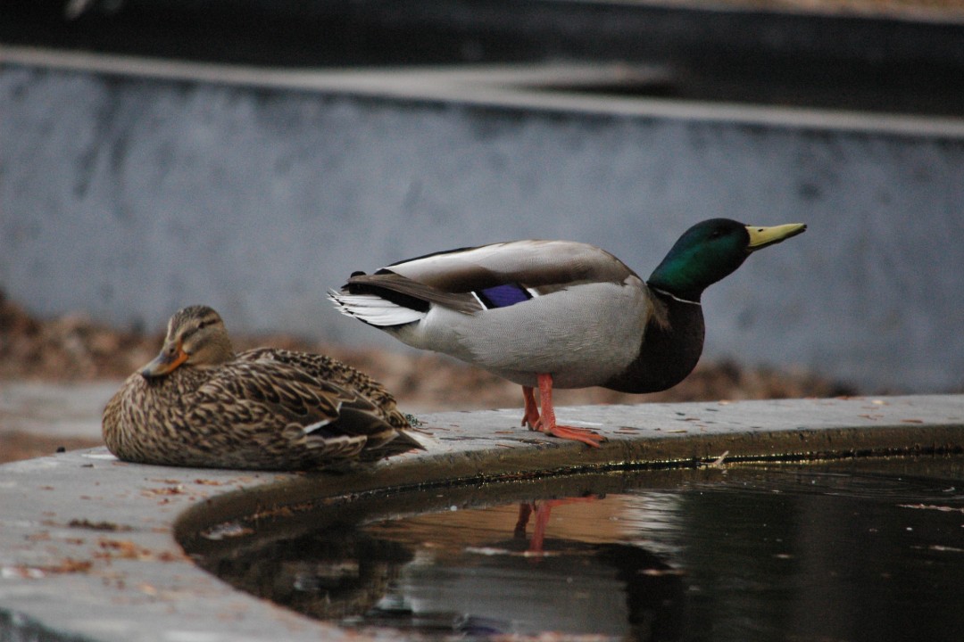 Happenings: April 23, 2026