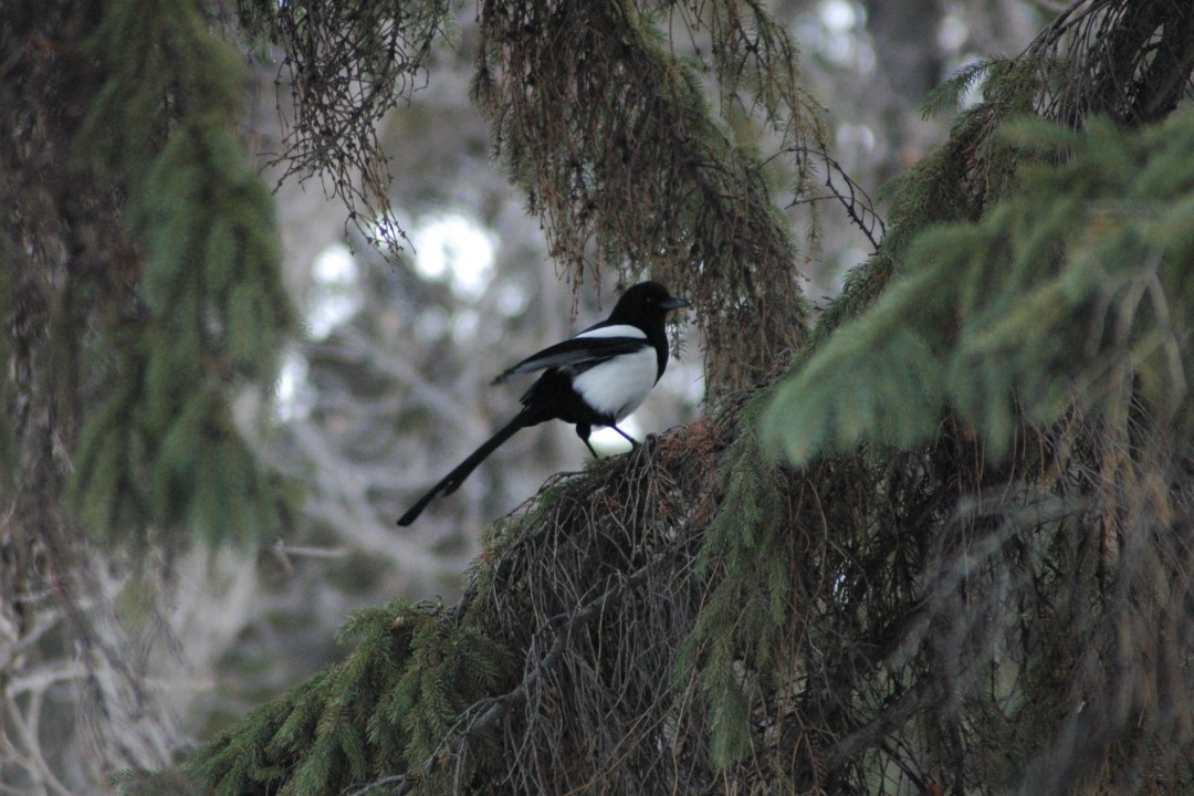 Happenings: April 28, 2026